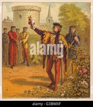 The Red Rose of Lancaster, the White Rose of York, and the Red and ...