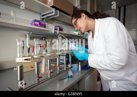 Biologist in the laboratory on a filter system for fixation. Stock Photo