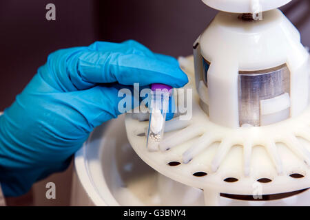 Researcher at a Benchtop homogenizer for cell lysis of DNA, RNA and proteins. Stock Photo