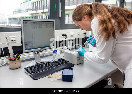 Scientist in the genetics laboratory Stock Photo