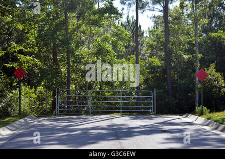 A paved, asphalt road leading to a metal gate with reflective signs on either side with a forest behind it. Stock Photo