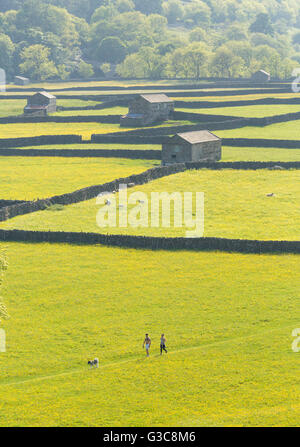 A young couple with their dog walking in the Yorkshire Dales Stock Photo