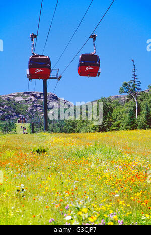 Summer view of the gondola  up Mt. Mansfield (4393'), Stowe, Vermont, in the Green Mountains, USA Stock Photo