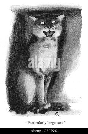 Illustration, a wild cat in a zoo Stock Photo