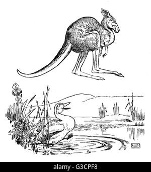 The Duck and the Kangaroo - Edward Lear. The Kangaroo leaps over the duck.     Date: 1922 Stock Photo