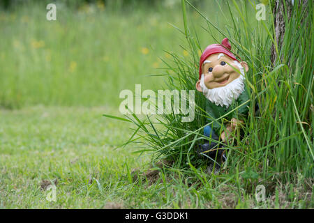 Happy smiling garden gnome in long grass Stock Photo