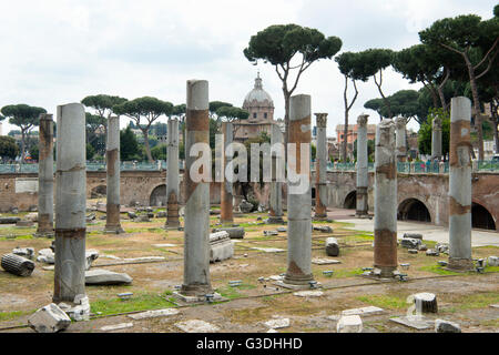 Italien, Rom, Trajansforum, Säulen der Basilika Ulpia Stock Photo