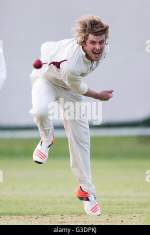 cricket, bowler in action. Stock Photo