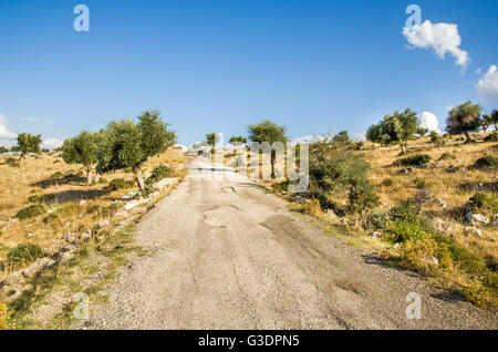 bumpy road in Puglia countryside -  Gargano Stock Photo