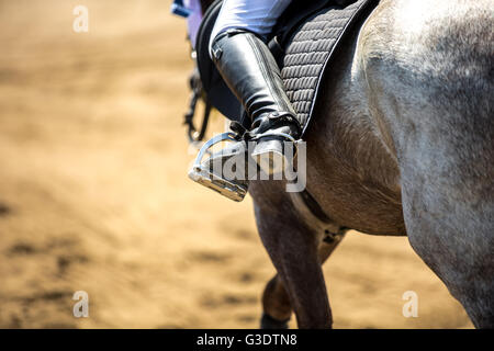 Equestrian Sports, Horse jumping, Show Jumping, Horse Riding themed photo Stock Photo