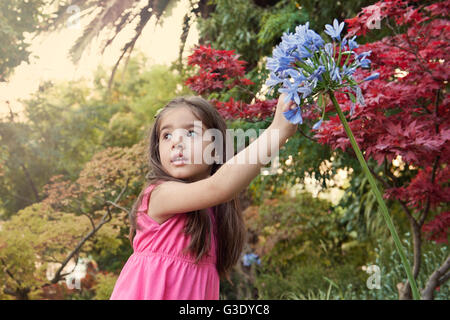 Little girl in flower garden Stock Photo