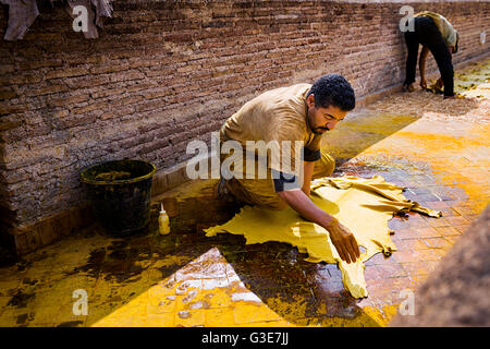 Fez, Morocco - April 11, 2016: One man working in a tannery in the city of Fez in Morocco. Stock Photo