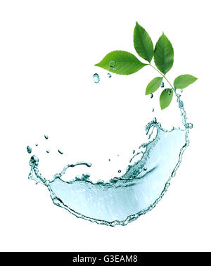 Nice border made from splashing water and twig of green leaves Stock Photo