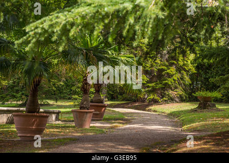 Beautiful park in Montecatini Terme Spa, Italy. Stock Photo