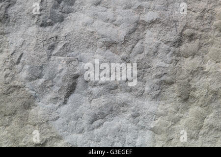 Gray stone close up. Stock Photo