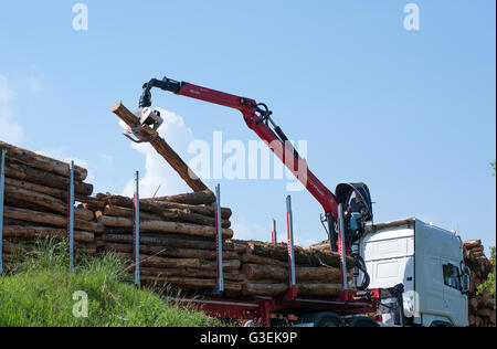 Glenariff Forest Park,Northern Ireland June 06, 2016. Crane operator loading logs on to truck Stock Photo