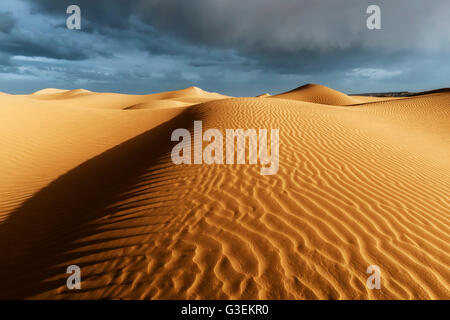 Sahara sand dunes with stormy, cloudy sky.