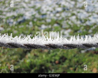 Beautiful ice crystals on a wire fence in winter Stock Photo