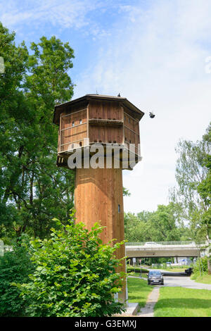 Pigeon tower in Göggingen as part of the Augsburg city pigeons concept, Germany, Bayern, Bavaria, Schwaben, Swabia, Augsburg Stock Photo