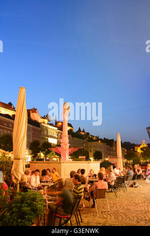 square Stadtplatz, fountain Löwenbrunnen, castle, Germany, Bayern, Bavaria, Oberbayern, Upper Bavaria, Burghausen Stock Photo