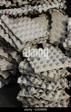 empty cardboard egg cartons Stock Photo