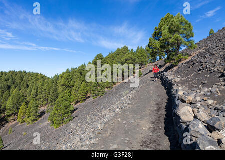 Woman hiking in the volcano landscape of the nature reserve Cumbre Vieja, La Palma, Canary Islands, Spain, Europe Stock Photo