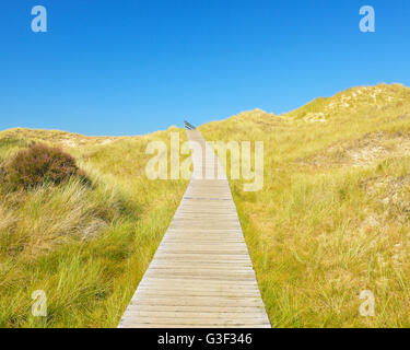 Boardwalk through Dunes, Summer, Nebel, Amrum, Schleswig-Holstein, Germany Stock Photo