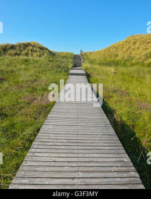 Wooden Walkway through Dunes, Summer, Norddorf, Amrum, Schleswig-Holstein, Germany Stock Photo