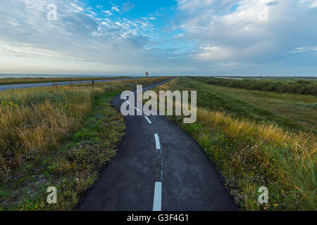 Winding Bikeway on Headland in the Morning, Thy National park, Agger, North Jutland, Denmark Stock Photo