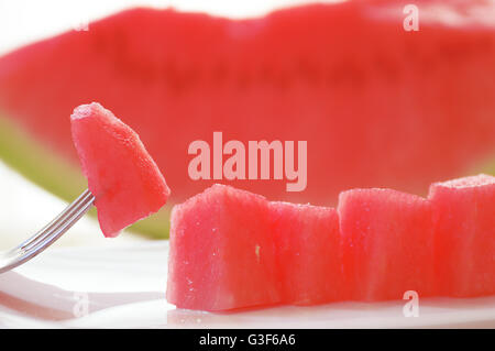 Some watermelon pierced with a fork and served on a white plate. Stock Photo