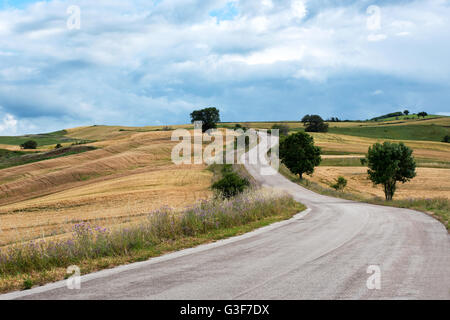 Empty asphalt road winding into the distance through hills through agricultural farmland on a cloudy day Stock Photo