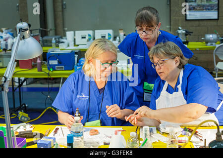Warren, Michigan, USA. 10th June, 2016. Dental technicians at work during a free, two-day dental clinic organized by the nonprofit Mission of Mercy. Credit:  Jim West/Alamy Live News Stock Photo