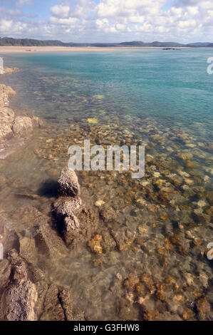 Coral bleaching in the northern Great Barrier Reef, Queensland ...