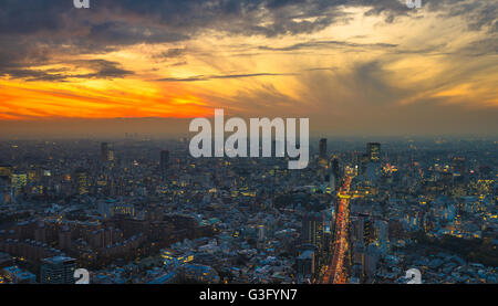 Tokyo sunset aerial panoramic view Stock Photo