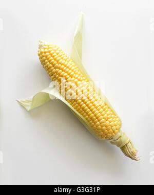 Corn on the cobb isolated Stock Photo
