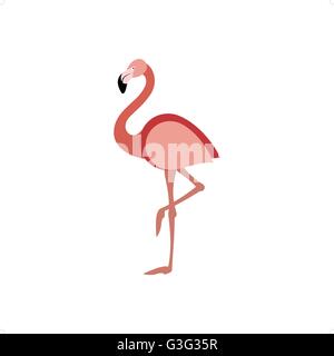 Beautiful pink flamingo standing on one leg vector illustration isolated on white background. Stock Vector