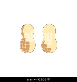 Two peanuts vector illustration isolated on white background. Stock Vector