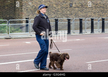 Police officer with a detection dog Stock Photo