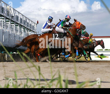 Cavite, Philippines. 15th May, 2016. Horse name “He He He” and Jockey L. D. Balboa lead the starting of 2016 PHILRAMCO “3 yo LOCALLY BRES Stakes Race” during the 14th KDJM Anniversary Trophy Race Santa Ana Park in Naic Cavite Province. © Gregorio B. Dantes Jr./Pacific Press/Alamy Live News Stock Photo