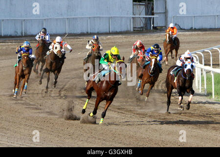 Cavite, Philippines. 15th May, 2016. Horse name “Radio Active” and Jockey J. A. Guce lead the race and made it to win for 2016 PHILRAMCO “1st Leg Triple CROWN Stakes Race” during the 14th KDJM Anniversary Trophy Race Santa Ana Park in Naic Cavite Province. © Gregorio B. Dantes Jr./Pacific Press/Alamy Live News Stock Photo