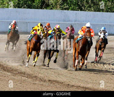 Cavite, Philippines. 15th May, 2016. Horse name “Dance Again” and Jockey R. C. Baldonido lead in the half race of 2016 PHILRAMCO “HOPEFUL Stakes Race” during the 14th KDJM Anniversary Trophy Race Santa Ana Park in Naic Cavite Province. © Gregorio B. Dantes Jr./Pacific Press/Alamy Live News Stock Photo