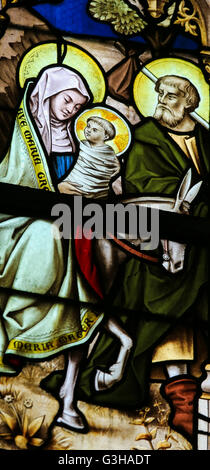 LIER, BELGIUM - MAY 16, 2015: Stained Glass window in St Gummarus Church in Lier, Belgium, depicting Joseph, Mary and Jesus on t Stock Photo