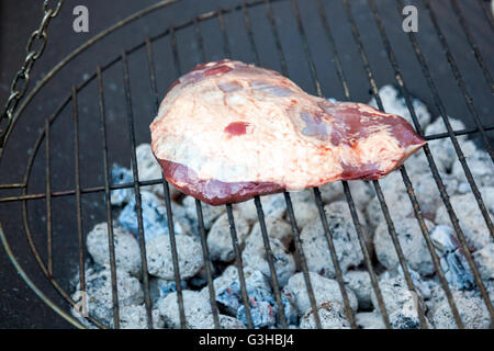 A piece of raw venison on a grill Stock Photo