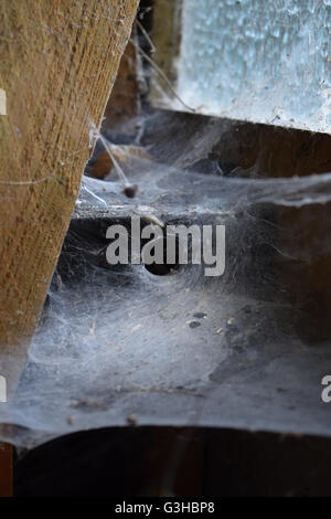 Clear centre circle of a spider's web in a deserted building Stock Photo