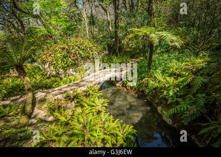 Portugal, garden of Monserrate Palace in Sintra Stock Photo