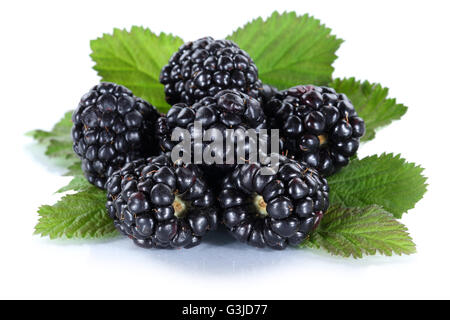 Blackberry fruit blackberries berry berries fruits isolated on a white background Stock Photo