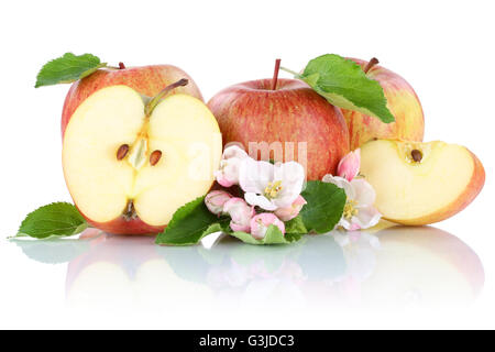 Apples apple fruit fruits slice half isolated on a white background Stock Photo
