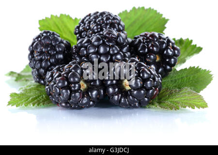Blackberry fruit blackberries berry berries fresh fruits isolated on a white background Stock Photo