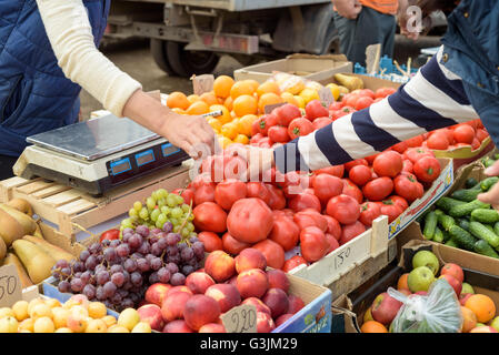 Local vegetable market stall selling fresh produce with peoples arms choosing and selecting ripe tomatoes from a selection Stock Photo