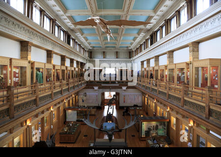 Interior view of Redpath Museum in McGill University. Montreal. Quebec. Canada Stock Photo